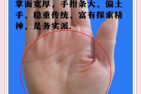 《手相学习百科》：手相看财运和好运
