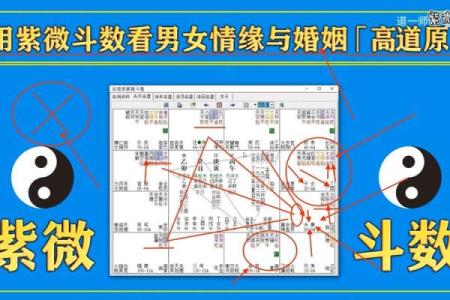 娶双妻紫薇斗数