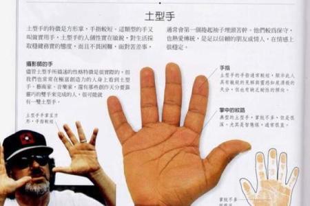《手相学习百科》：手纹看旅游和迁徙