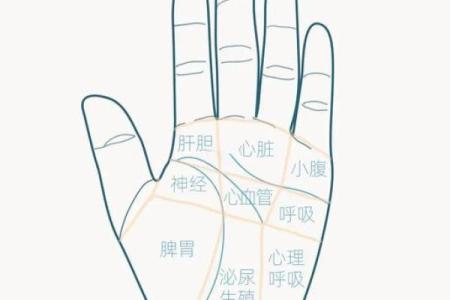 《手相学习百科》：手相看家庭与遗传