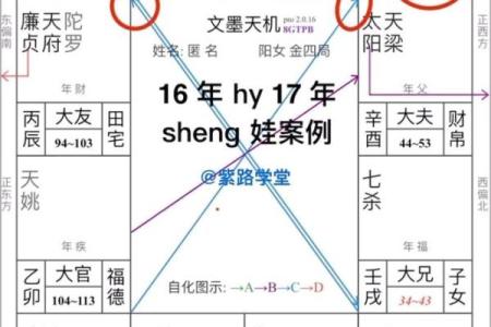 紫薇斗数怎么看流年