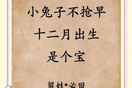 属兔的富豪出生在几月 属兔大富大贵的吉日出生