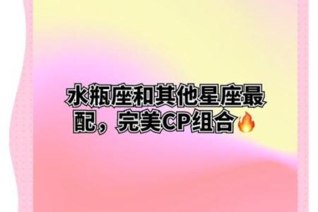 水瓶座和双子座配对指数较高，天生一对？