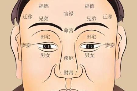 脸上长毛风水