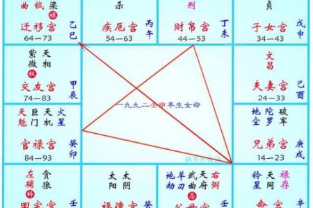 紫薇斗数化禄在夫妻宫