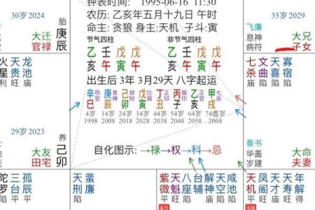 紫微斗数免费算命详解,紫微斗数免费算命神巴巴网