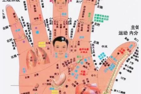 《手相学习百科》：手相看事业、职业