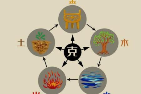 八字-丁火体象