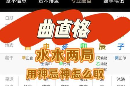 八字命局为从格的人喜忌及用神分析