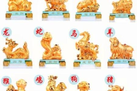 属虎和什么属相最配对 属虎和什么属相相冲