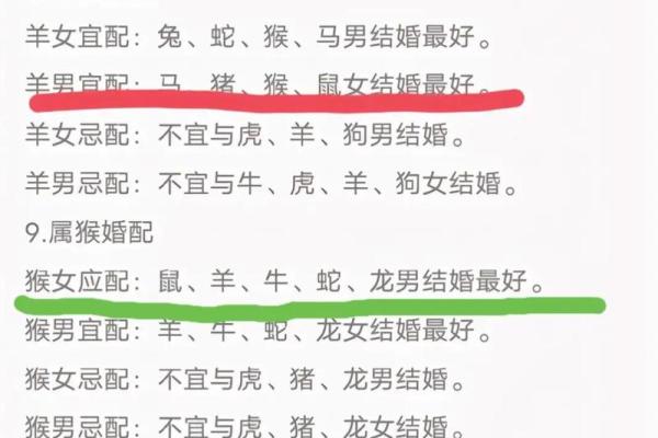 1982年属什么生肖配对最好 1982年属什么生肖的最佳配偶