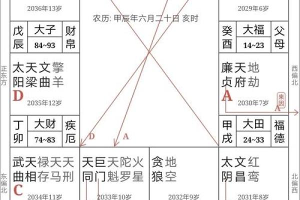 紫薇斗数二胎看那个宫位