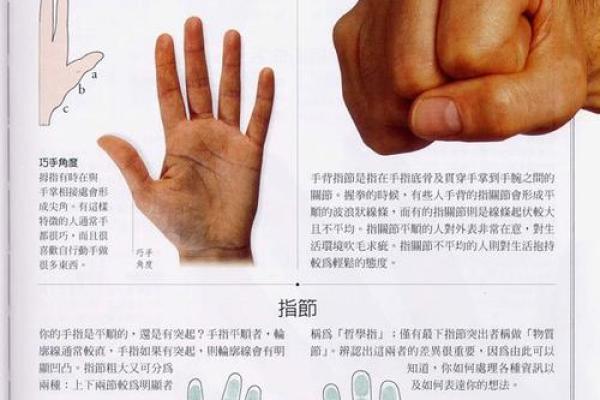 《手相学习百科》：手的形状