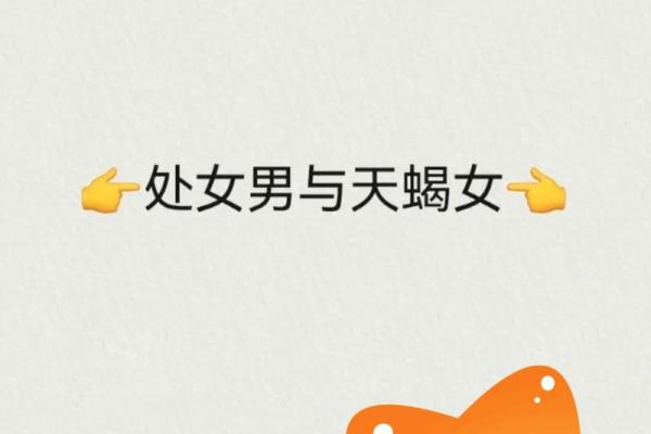 处女男和什么座最配对