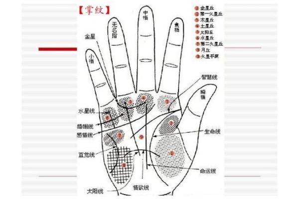 《手相学习百科》：命运线