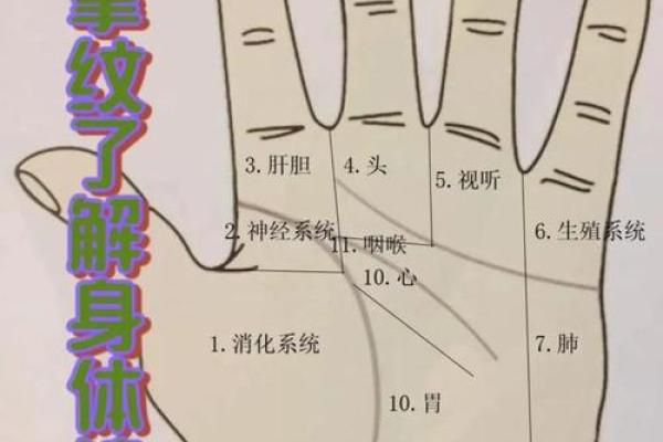 《手相学习百科》：手相健康记号