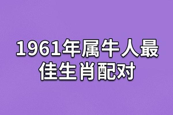 61年属什么生肖配对