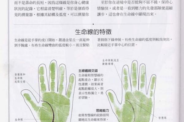 《手相学习百科》：双手之间的差异