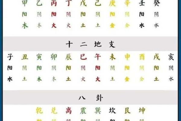 八字阳多