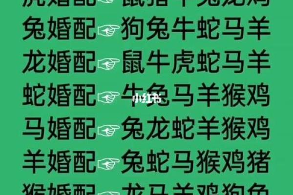 属相配对女性姻缘查询 属相婚姻配对十二生肖配对？
