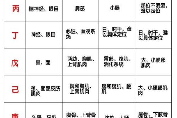 什么是生辰八字？