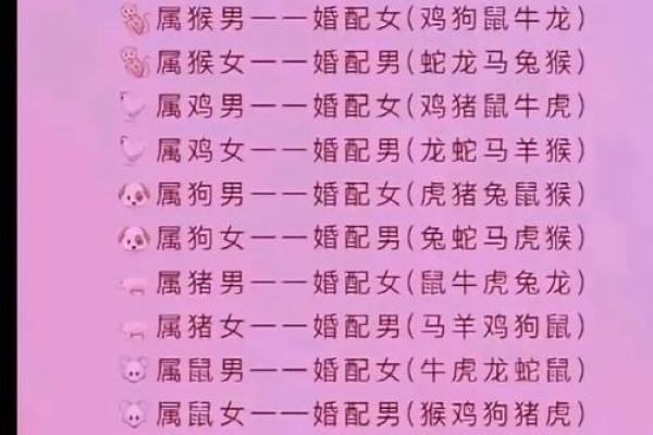 属龙姻缘配对