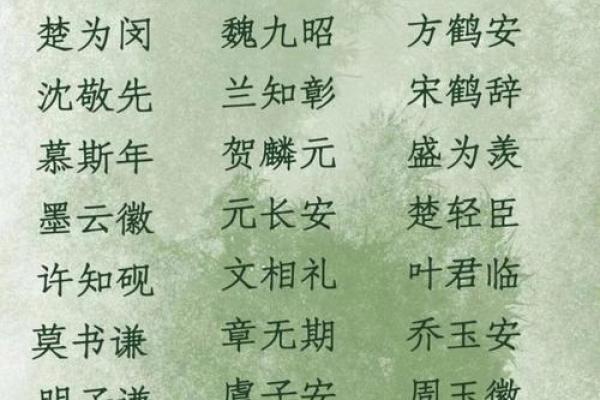 网红姓名配对 名字网红？