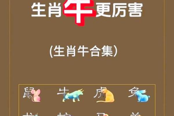 牛和牛的属相合不合 牛和牛配对可行吗