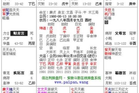 紫微命盘查询免费算命