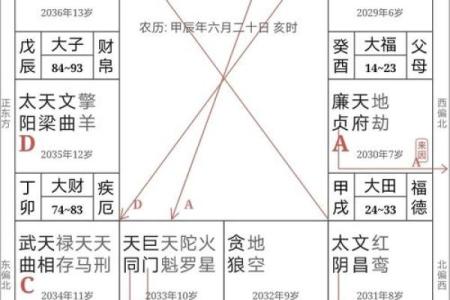 紫薇斗数二胎看那个宫位