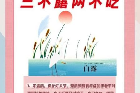 白露节气的含义是什么 白露时节有什么民俗活动