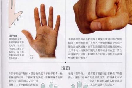 《手相学习百科》：手的形状