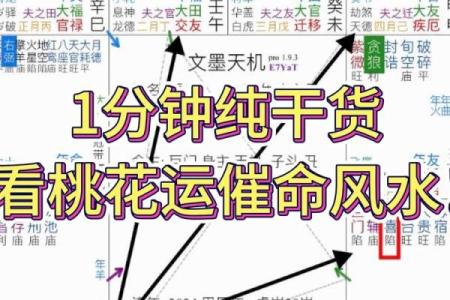 紫薇斗数看减肥
