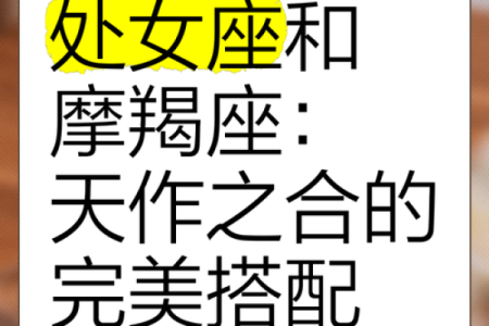 摩羯座和处女座配对指数