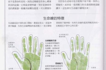 《手相学习百科》：双手之间的差异