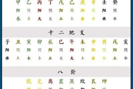 八字阳多