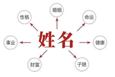周易取名网,周易算命免费起名大全