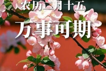 3月15日是什么节日