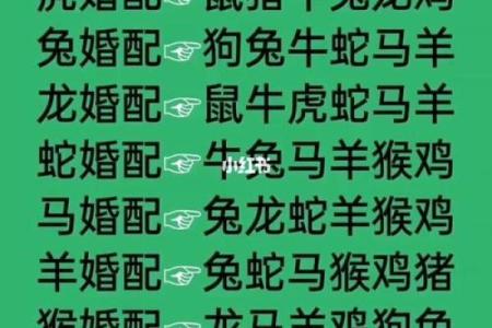 属相配对女性姻缘查询 属相婚姻配对十二生肖配对？