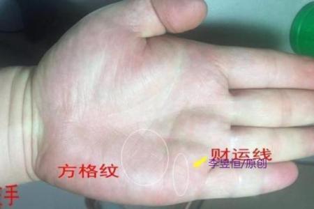 手相算命：什么样的手相最有偏财运