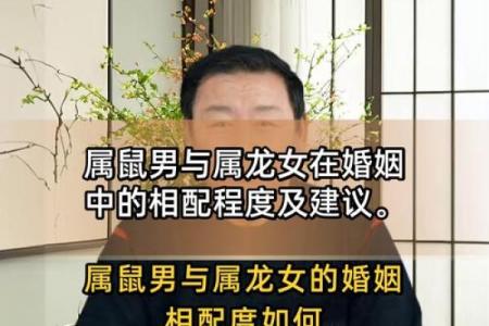 属龙姻缘配对