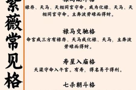紫微斗数七杀星的部分解析