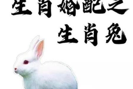 生肖兔配对猴姻缘表 生肖兔和生肖猴配不配？