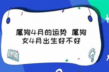 属狗的女孩出生吉日 属狗女最好命的出生日子