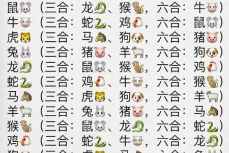 生肖查询：1996年属什么生肖配对