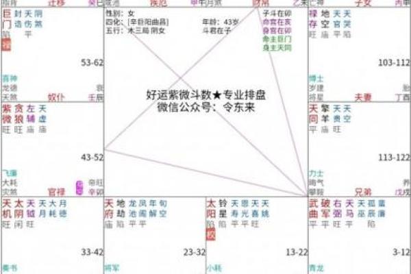 紫薇斗数中流年忌