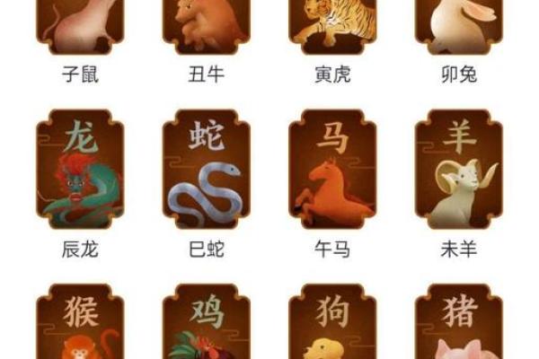肖鼠者不同血型有哪些优势