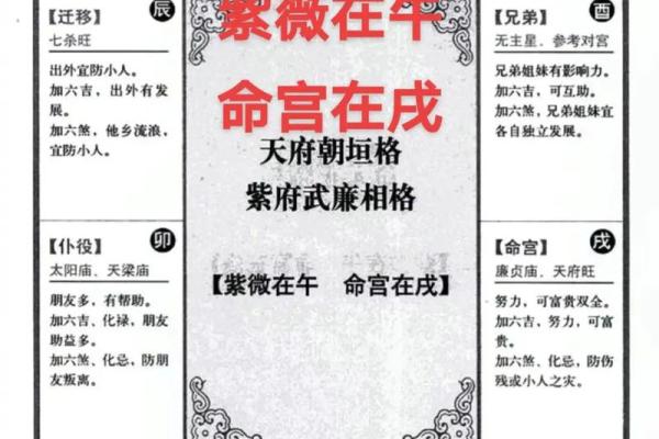 唐艺尹老师：紫薇斗数主星解释