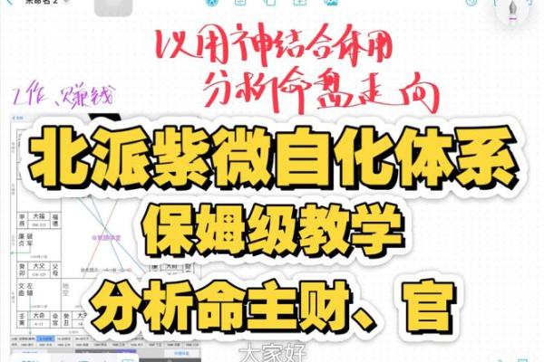 紫薇斗数宗师级