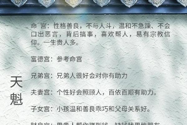 紫薇斗数怎么安天魁